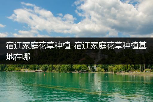 宿迁家庭花草种植-宿迁家庭花草种植基地在哪