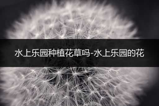 水上乐园种植花草吗-水上乐园的花