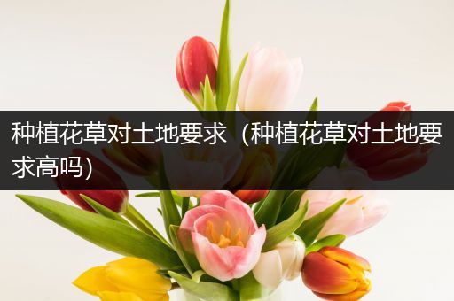种植花草对土地要求（种植花草对土地要求高吗）