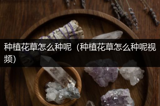种植花草怎么种呢（种植花草怎么种呢视频）