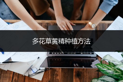 多花草黄精种植方法