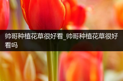 帅哥种植花草很好看_帅哥种植花草很好看吗