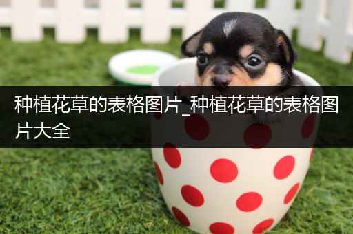 种植花草的表格图片_种植花草的表格图片大全