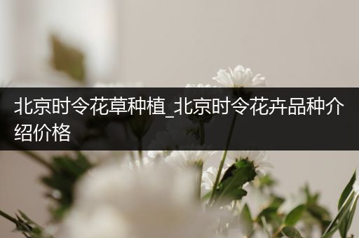 北京时令花草种植_北京时令花卉品种介绍价格