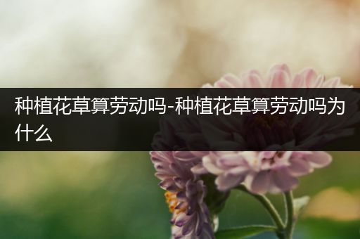 种植花草算劳动吗-种植花草算劳动吗为什么