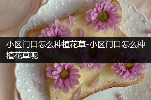 小区门口怎么种植花草-小区门口怎么种植花草呢