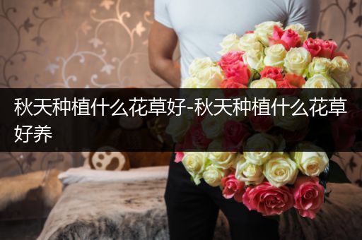 秋天种植什么花草好-秋天种植什么花草好养