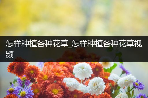 怎样种植各种花草_怎样种植各种花草视频