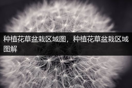 种植花草盆栽区域图，种植花草盆栽区域图解