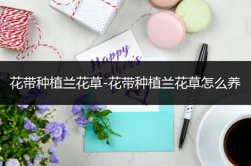花带种植兰花草-花带种植兰花草怎么养