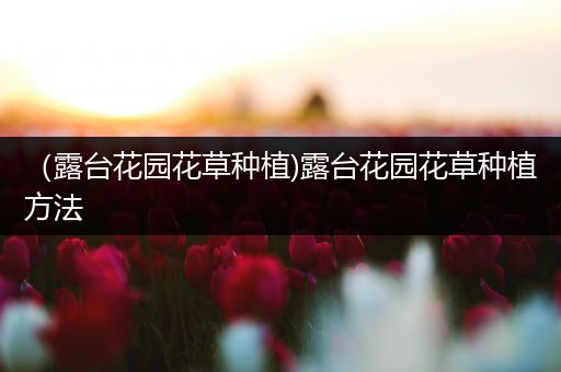（露台花园花草种植)露台花园花草种植方法