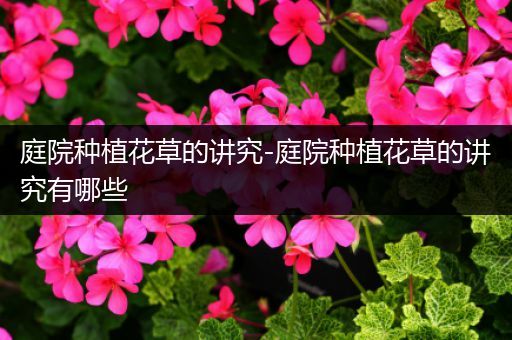 庭院种植花草的讲究-庭院种植花草的讲究有哪些