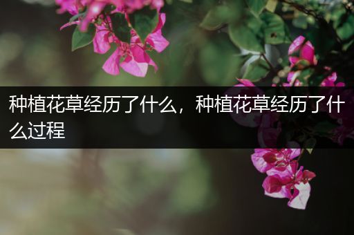 种植花草经历了什么，种植花草经历了什么过程