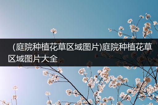 （庭院种植花草区域图片)庭院种植花草区域图片大全