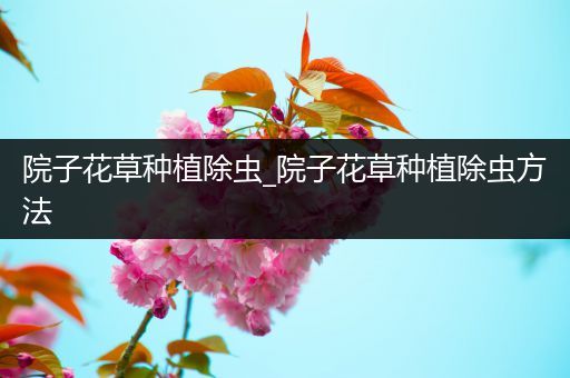 院子花草种植除虫_院子花草种植除虫方法