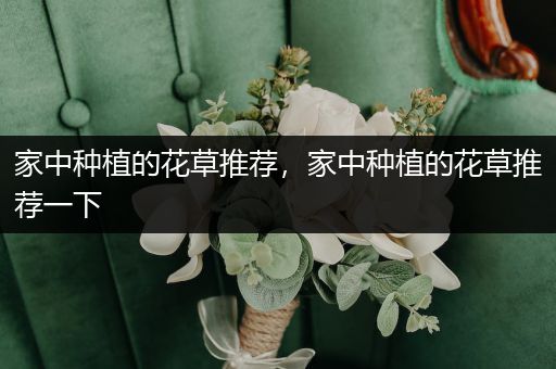 家中种植的花草推荐，家中种植的花草推荐一下