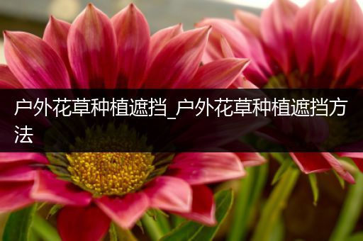 户外花草种植遮挡_户外花草种植遮挡方法