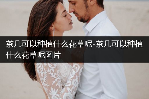 茶几可以种植什么花草呢-茶几可以种植什么花草呢图片
