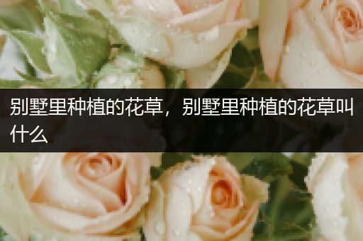 别墅里种植的花草，别墅里种植的花草叫什么