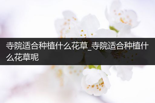 寺院适合种植什么花草_寺院适合种植什么花草呢