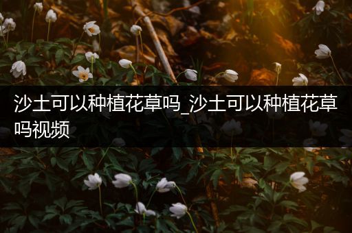 沙土可以种植花草吗_沙土可以种植花草吗视频