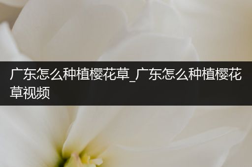 广东怎么种植樱花草_广东怎么种植樱花草视频