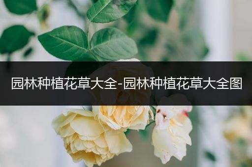 园林种植花草大全-园林种植花草大全图