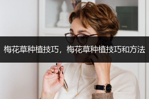 梅花草种植技巧，梅花草种植技巧和方法