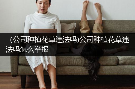（公司种植花草违法吗)公司种植花草违法吗怎么举报
