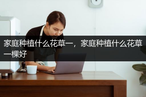 家庭种植什么花草一，家庭种植什么花草一棵好