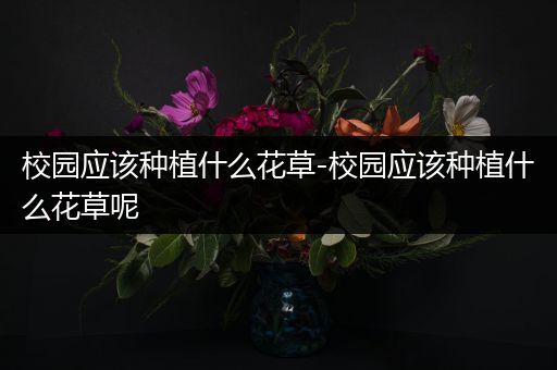 校园应该种植什么花草-校园应该种植什么花草呢