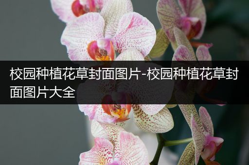 校园种植花草封面图片-校园种植花草封面图片大全