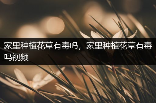 家里种植花草有毒吗，家里种植花草有毒吗视频
