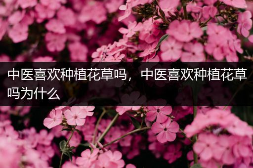 中医喜欢种植花草吗，中医喜欢种植花草吗为什么