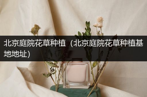 北京庭院花草种植（北京庭院花草种植基地地址）