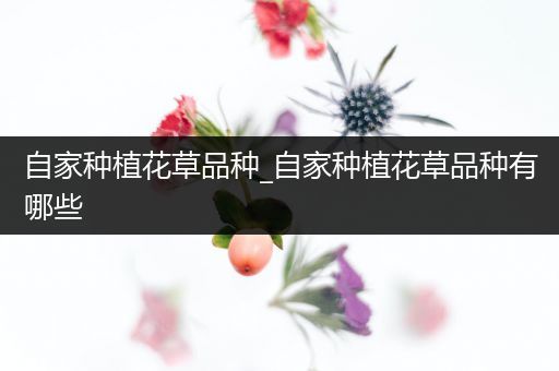 自家种植花草品种_自家种植花草品种有哪些