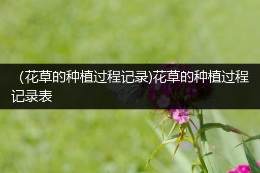 （花草的种植过程记录)花草的种植过程记录表