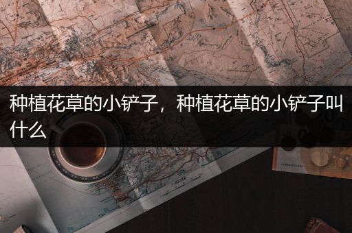 种植花草的小铲子，种植花草的小铲子叫什么