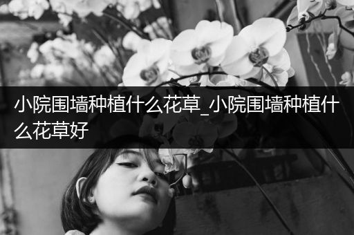 小院围墙种植什么花草_小院围墙种植什么花草好
