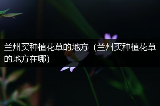 兰州买种植花草的地方（兰州买种植花草的地方在哪）