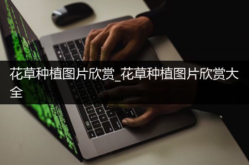 花草种植图片欣赏_花草种植图片欣赏大全