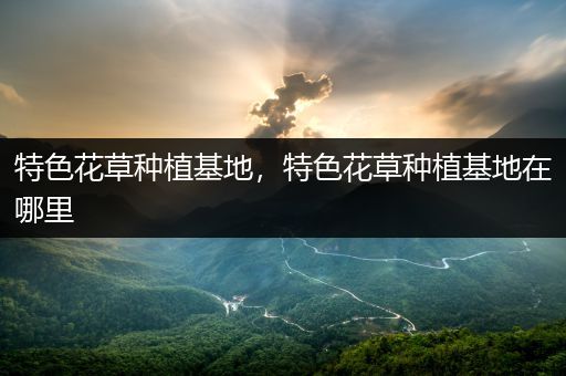 特色花草种植基地，特色花草种植基地在哪里