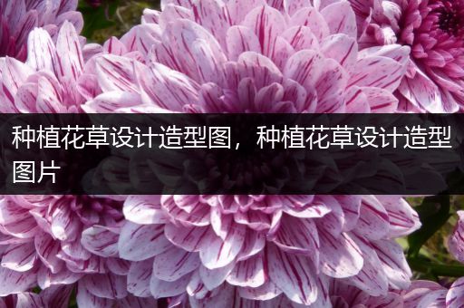 种植花草设计造型图，种植花草设计造型图片