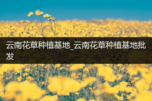 云南花草种植基地_云南花草种植基地批发