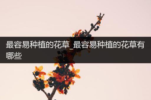 最容易种植的花草_最容易种植的花草有哪些