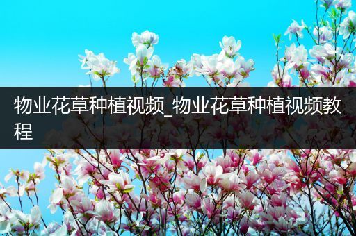物业花草种植视频_物业花草种植视频教程