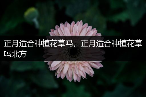 正月适合种植花草吗，正月适合种植花草吗北方