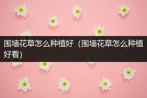 围墙花草怎么种植好（围墙花草怎么种植好看）