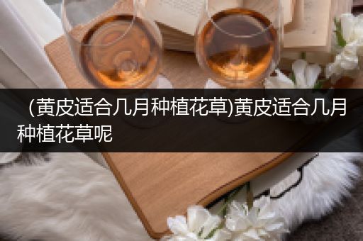 （黄皮适合几月种植花草)黄皮适合几月种植花草呢
