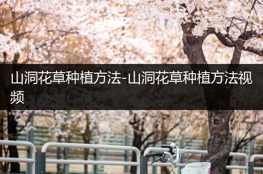 山洞花草种植方法-山洞花草种植方法视频